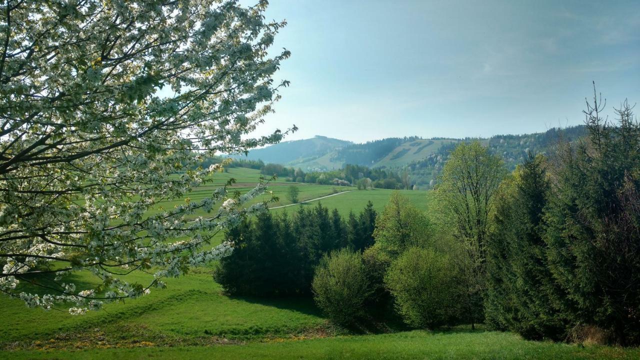 Noclegi Przy Szlaku Agroturystyka Zabnica المظهر الخارجي الصورة