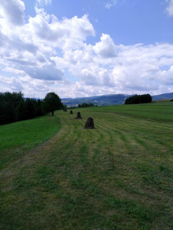 Noclegi Przy Szlaku Agroturystyka Zabnica المظهر الخارجي الصورة