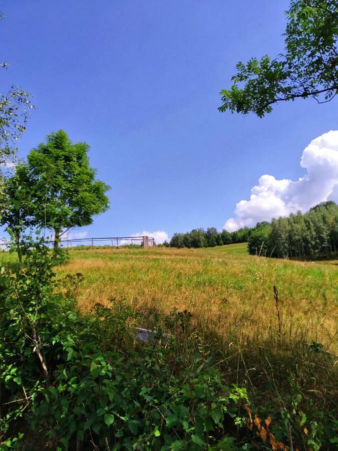 Noclegi Przy Szlaku Agroturystyka Zabnica المظهر الخارجي الصورة